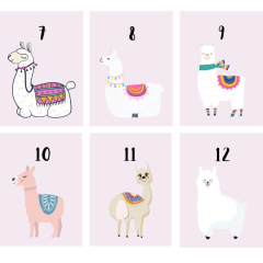 Adventskalender Zahlen ALPAKA