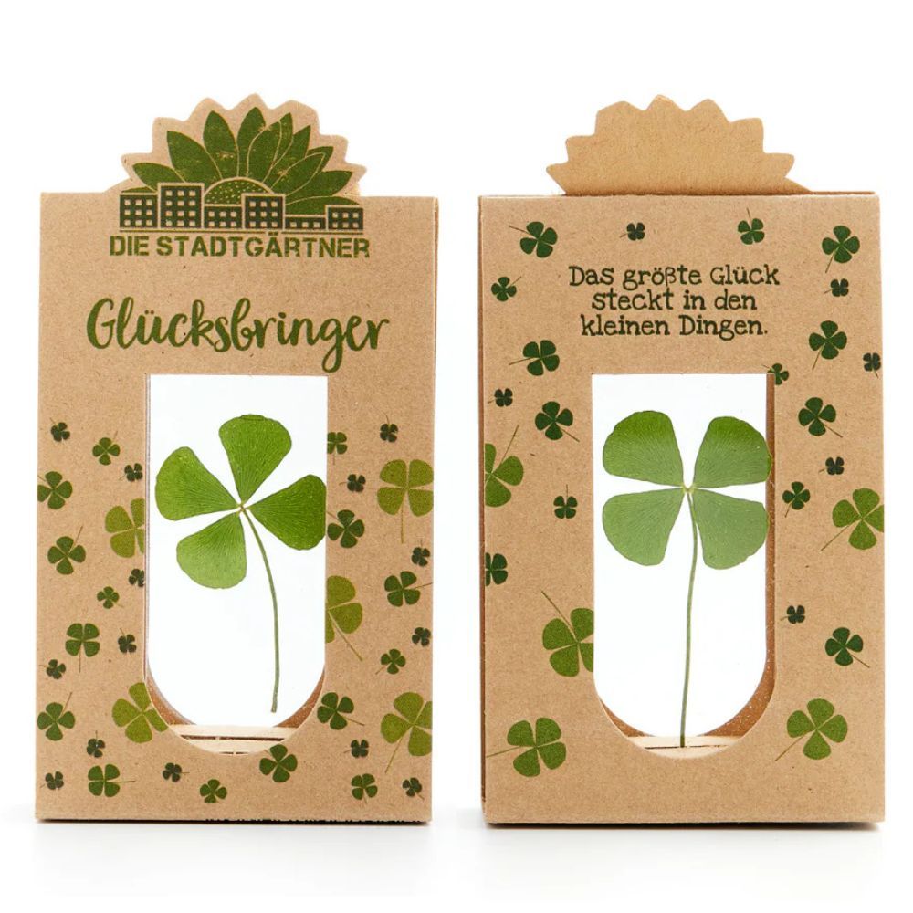 Glücksbringer Klee